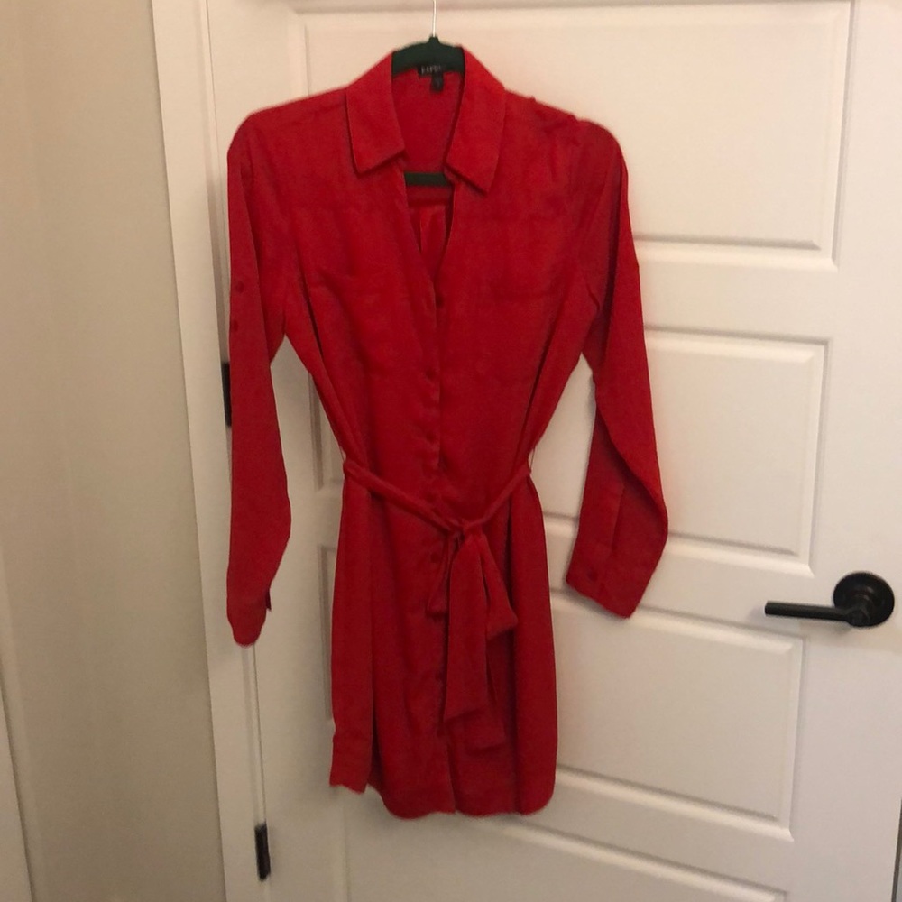 Express long sleeve dress